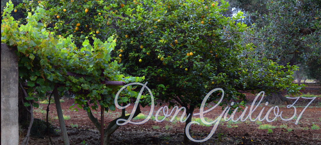 La terra e i suoi frutti